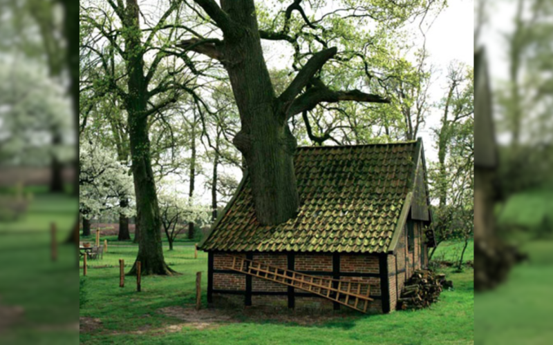 bakspiekereik twickel.png