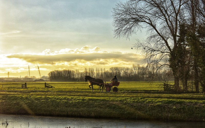 natuur.jpg