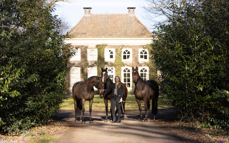 PaardenHessum