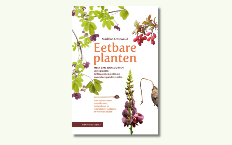 website header (1920 x 800 px) (9).png