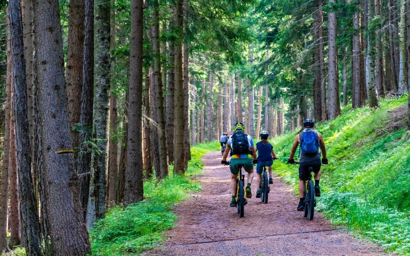 Mountainbikers_pixabay.jpg