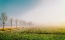 170308_sunrise-94afa4df