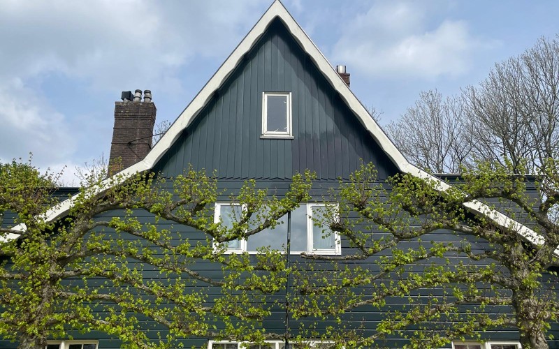 De Olmenhorst 4.jpg