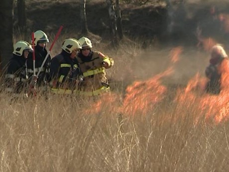 natuurbrand brand brandweer brandweerman
