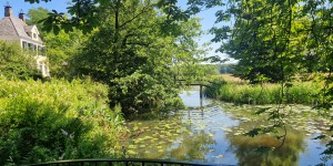 Groen Groeit mee