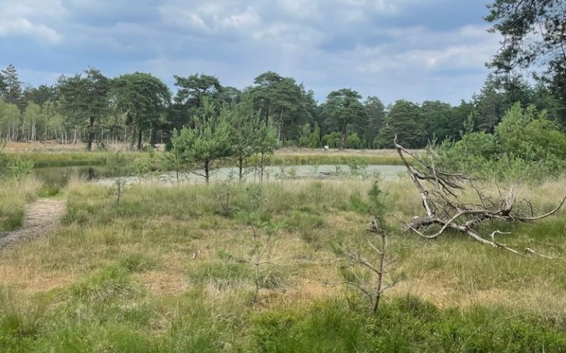 Hoge Veluwe 2023.jpg