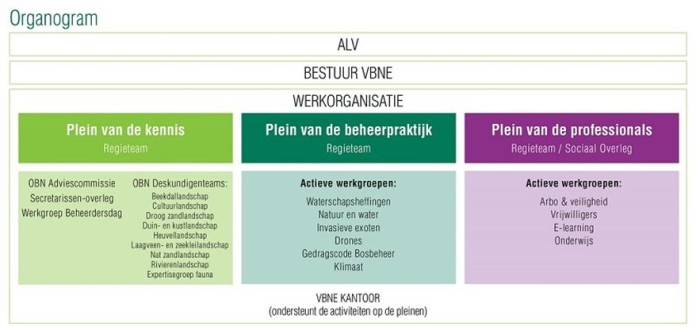 Organogram VBNE