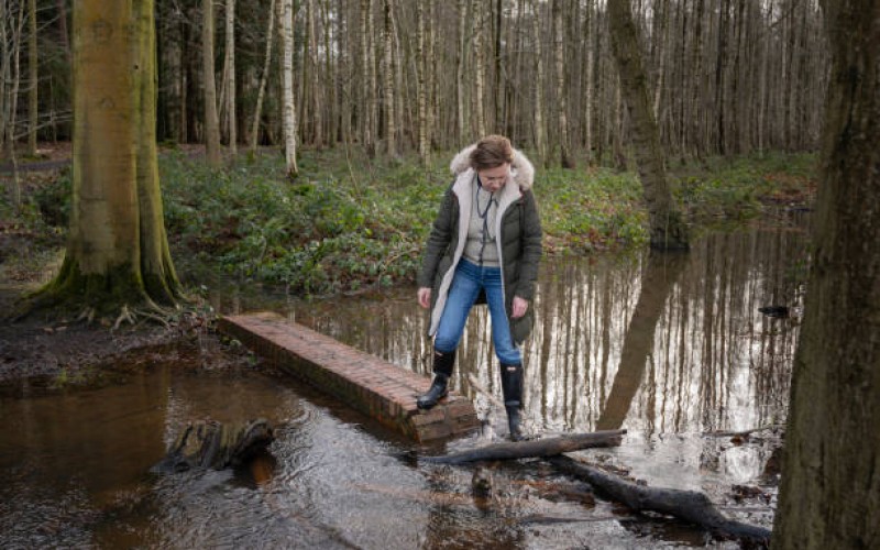 hoog water.jpg