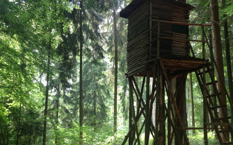 Jacht en faunabeheer