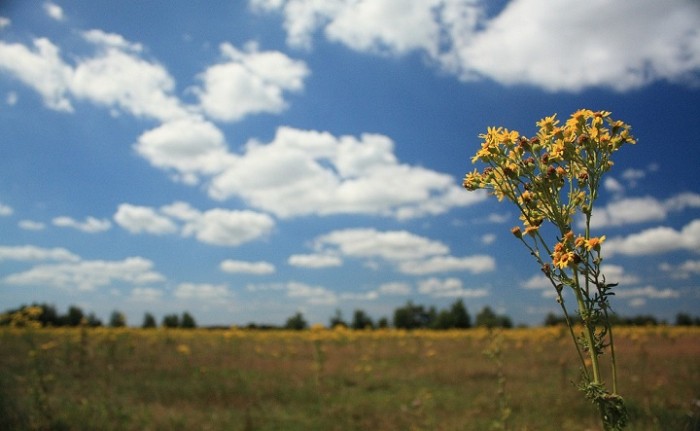 huisterheide