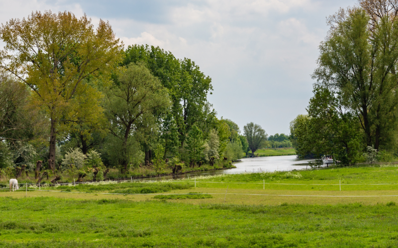 website header landgoed.png