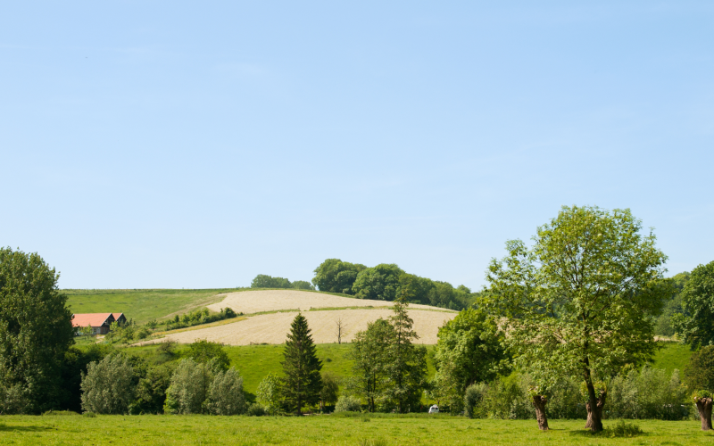 website header landschap(13).png