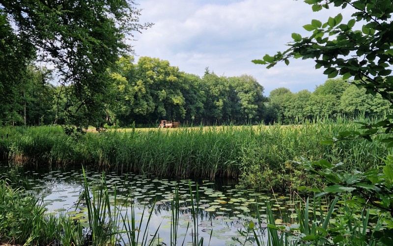 Landbouwnatuur.jpg