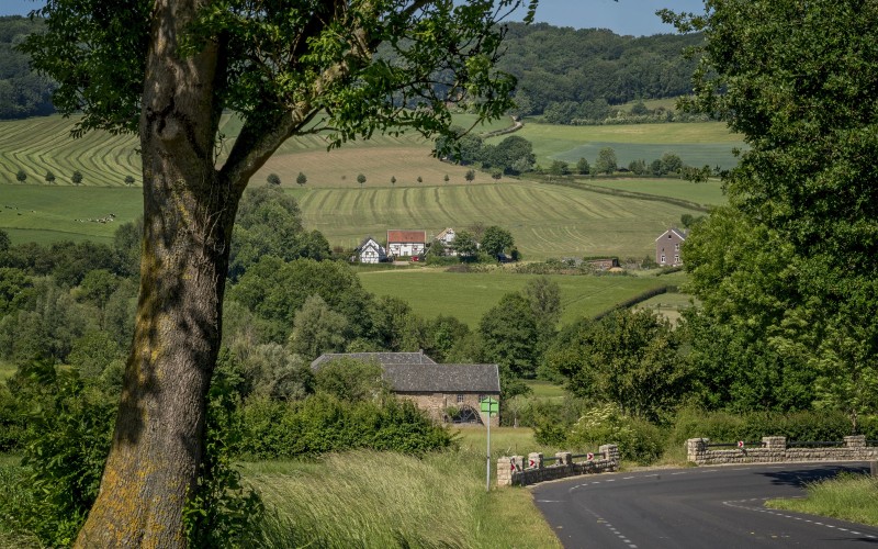 limburgs landschap zomer.jpg