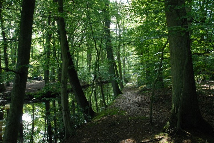 170411_Landgoed Old Putten bos