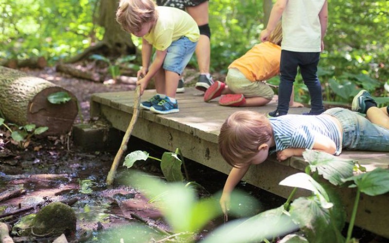 kinderen in bos.jpg