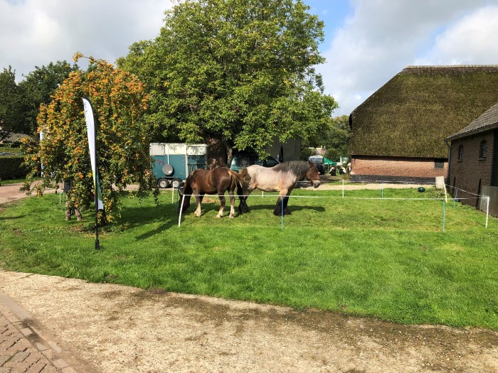 Beheerdersdag 2019