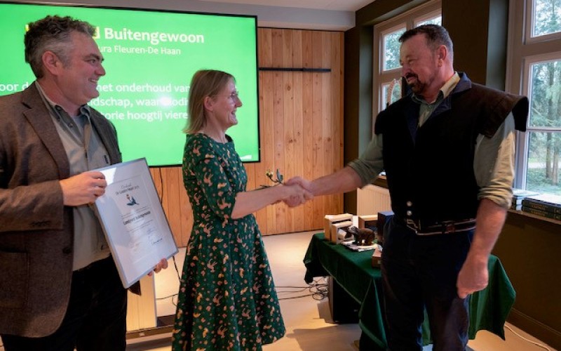 Gouden Mispel.jpg