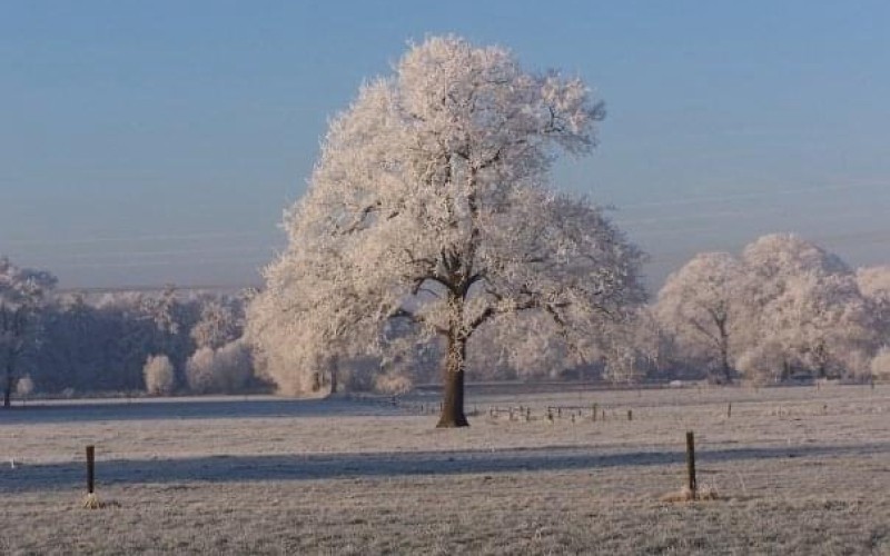 Diepenveen - Elsemieke.jpg