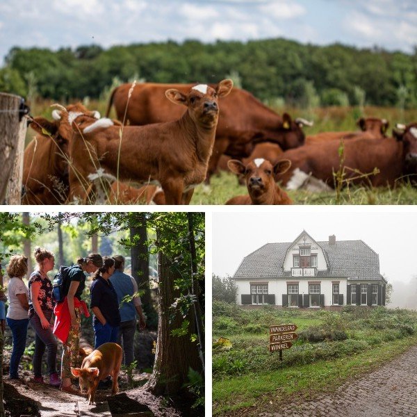Boeren in het Bos Landgoeddag