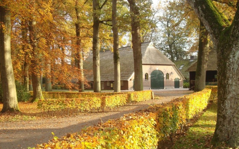 landgoedcentrumvilst.jpg