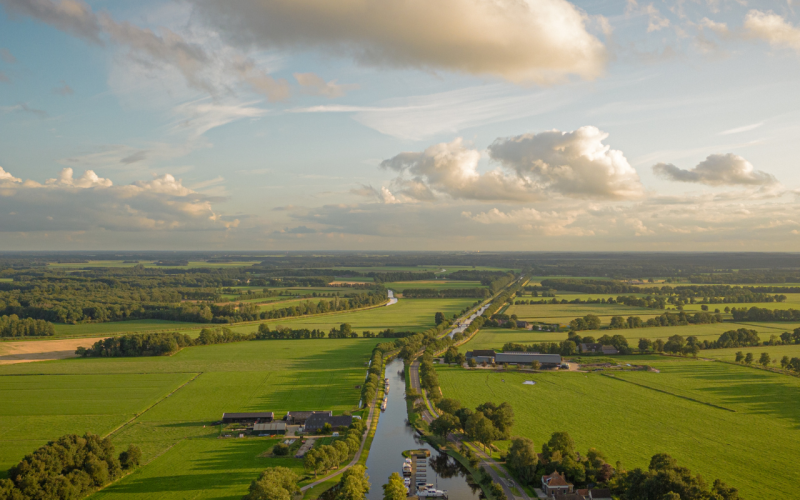 website header (1920 x 800 px) (35).png