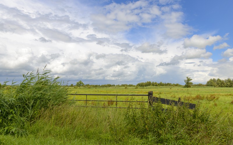 iStock-537433280.jpg