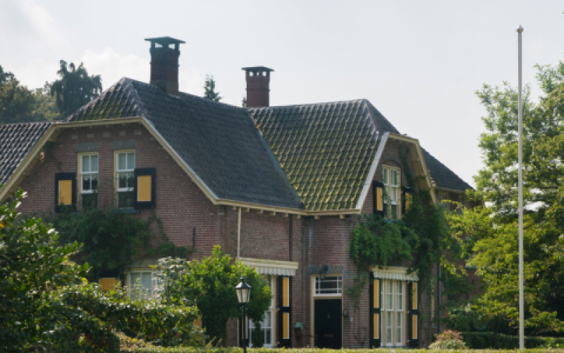 lz december 2025 (600 x 300 px).png