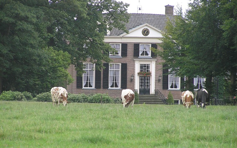 Kasteel_Koeien Huis Zelle.jpg