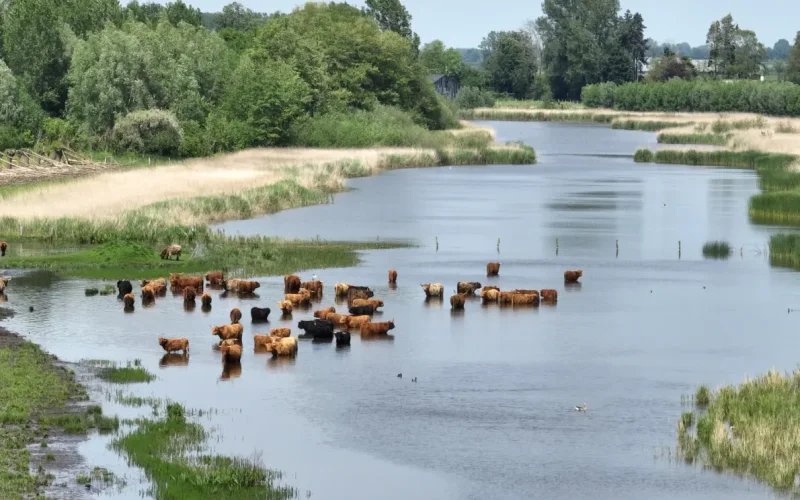 landgoed t Eiland.webp