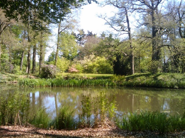 dewiersse