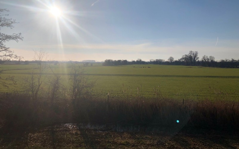 Landbouwgrond en zon.jpg