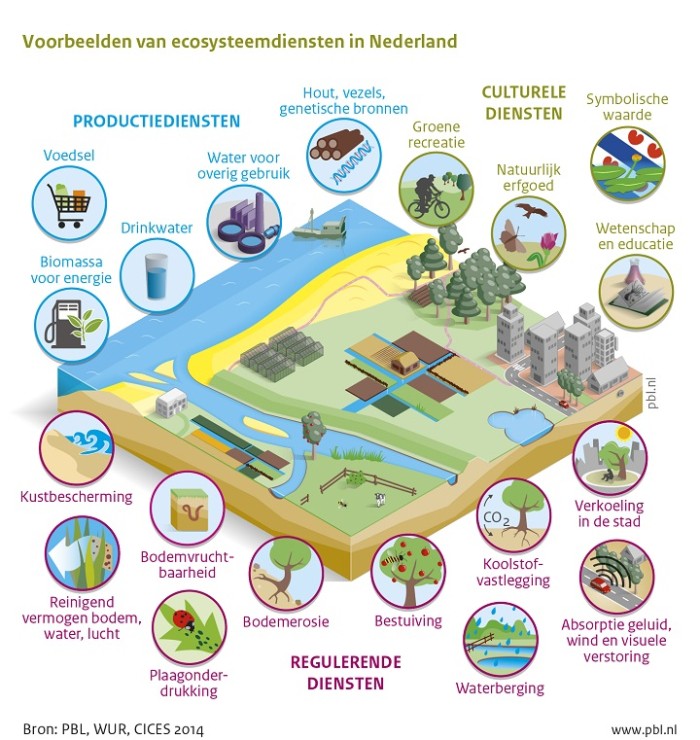 ecosysteemdienstenvb