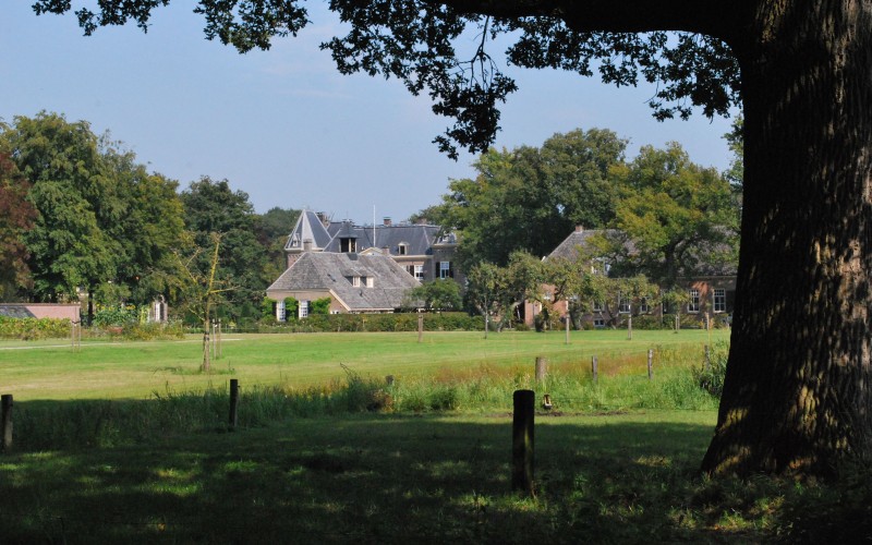 139_nijenhuis06.jpg