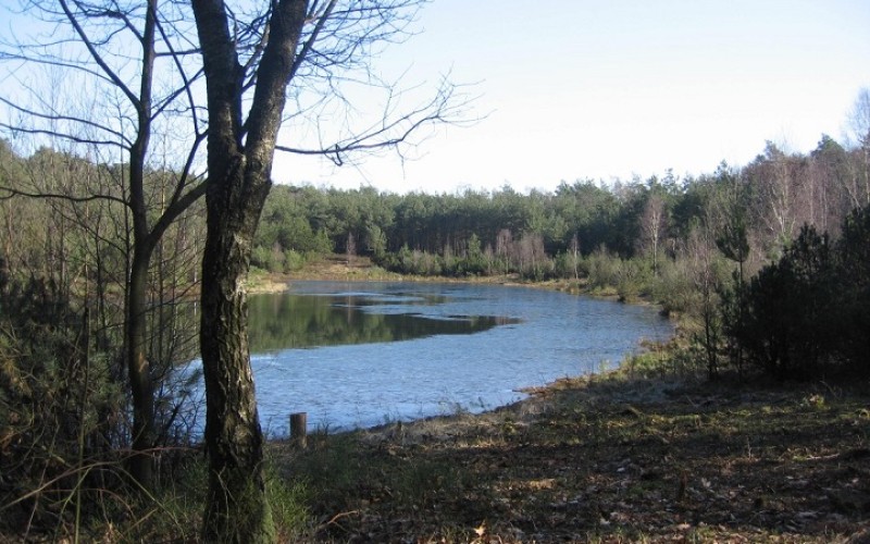 tongerentongereparkbosn.jpg