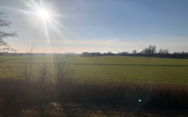 Landbouwgrond en zon.jpg