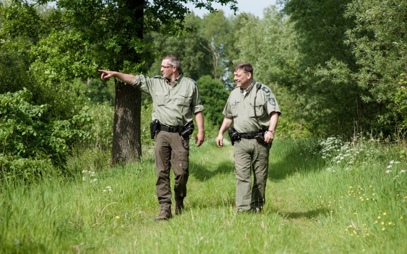 groeneBOA.jpg