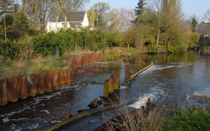 NL, Noord-Brabant, Boxtel 8, Saxifraga-Jan van der Straaten.jpg