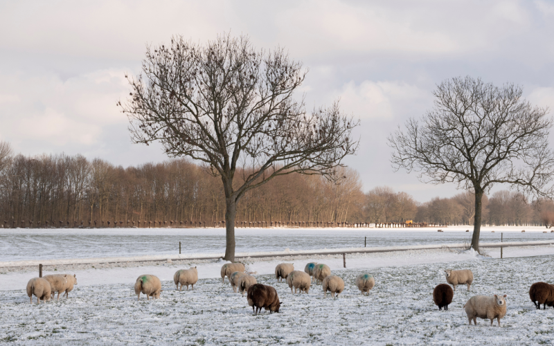 website header (1920 x 800 px) (26).png