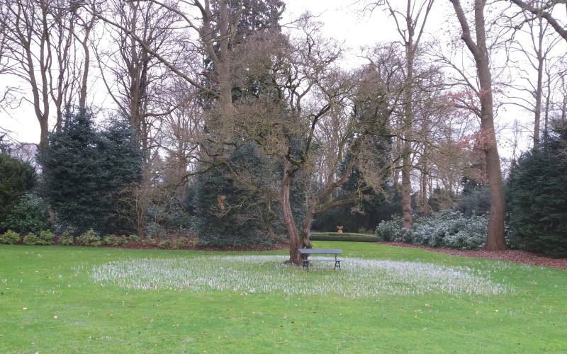 17 02 Prattenburg.jpg