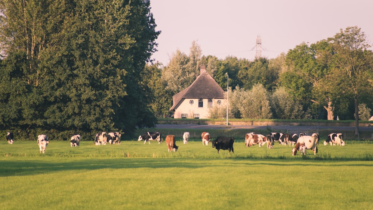 Percelen Oproep FPG: controleer (onterecht) ingetekende agrarische percelen - FPG
