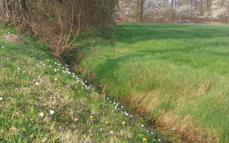 2017 04 Leusden.jpg