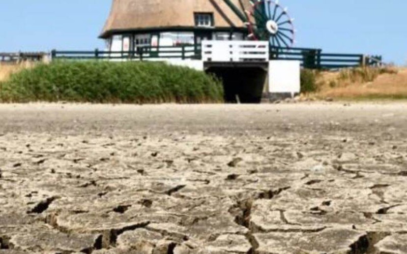 droogte_erfgoed.jpg